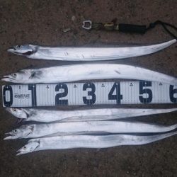 リベンジのはずが…