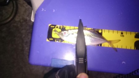 長時間頑張れど…