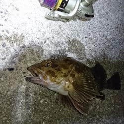 久しぶりの餌釣り❗