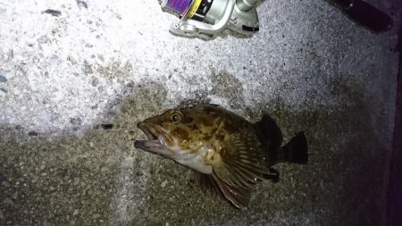 久しぶりの餌釣り❗