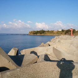 久しぶりに釣れました