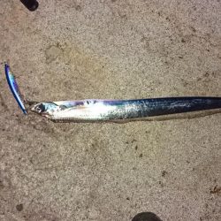 はーまーちーどーこー？