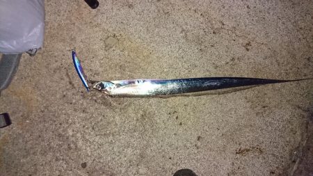 はーまーちーどーこー？