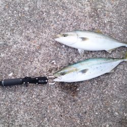 第2回播磨プチ遠征