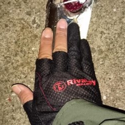 シーバス釣れず‼️