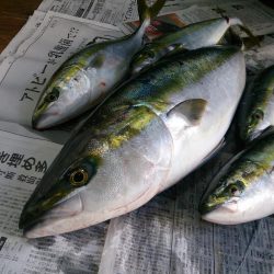 みなさまのお蔭です