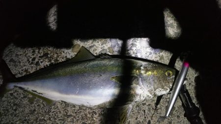 まだ、真っ暗ですが…