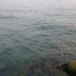 場所の選択は難しいね