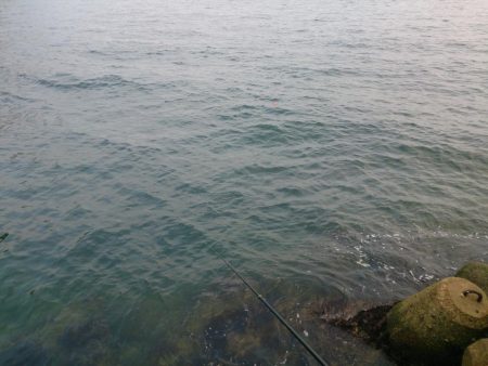 場所の選択は難しいね