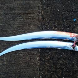 南港タチウオ大潮釣果