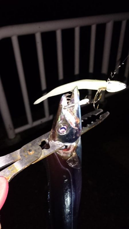 そろそろ渋めか！？