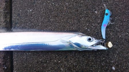 タチウオカッター！