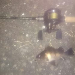 ライトワインド最初からやっておけば。。。