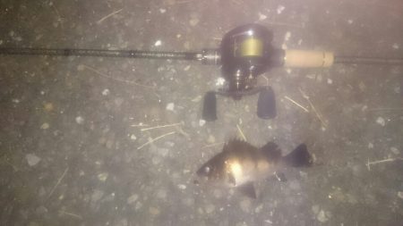 ライトワインド最初からやっておけば。。。