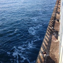 どんどん渋くなってます