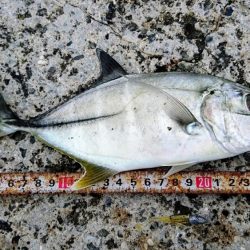 港内、ガルプワームで３種ヒットしました。