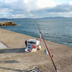 東二見白灯台波止で初のキス狙い