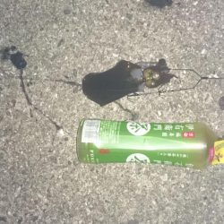 風が弱風になると思って行って来ましたが？