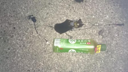 風が弱風になると思って行って来ましたが？