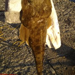 ファミリーフィッシング