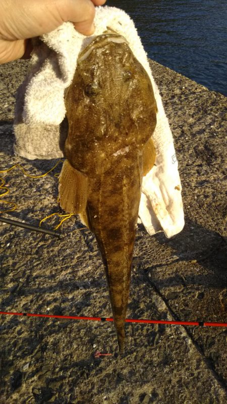 ファミリーフィッシング