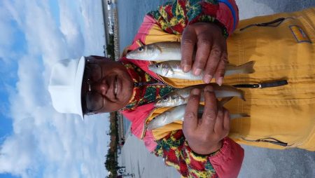 東二見白灯台波止へ落ちギス釣査