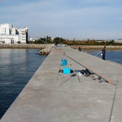 東二見白灯台波止へ落ちギス釣査Ⅱ