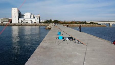 東二見白灯台波止へ落ちギス釣査Ⅱ