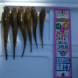 ハゼ釣り