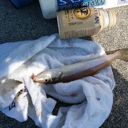 teamゲッソー調査隊