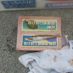 東二見白灯台波止へ落ちギス調査