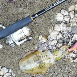 teamゲッソー調査隊