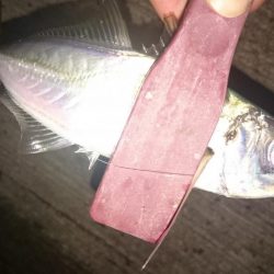 ショートバイト