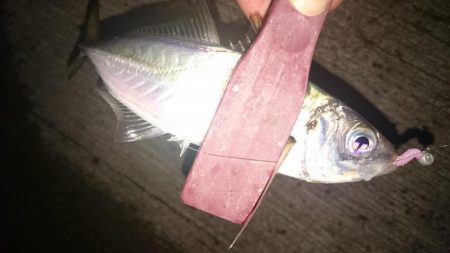 ショートバイト