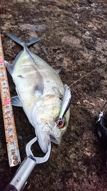 朝練、ターポンに嫌われガーラ狙い