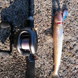 デイアジング&エソング