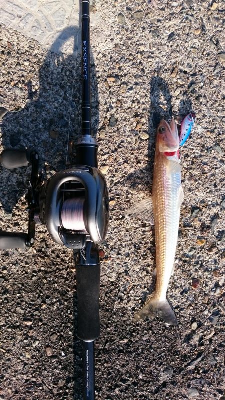 デイアジング&エソング