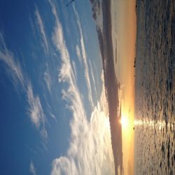 え？タチウオ好調じゃないの？？