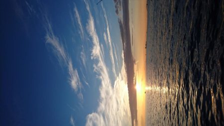 え？タチウオ好調じゃないの？？