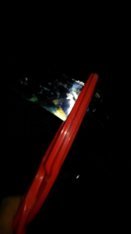 今日もタチウオ