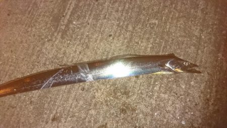 仕事帰りにちょろっと