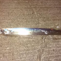 仕事帰りにさくさくっと