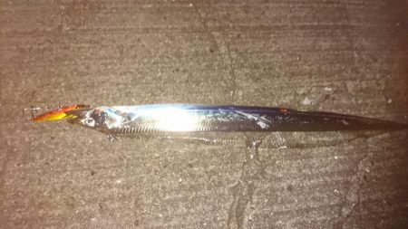 仕事帰りにさくさくっと