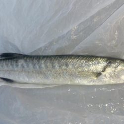 今さらだけど…