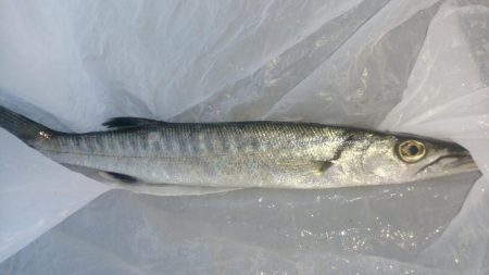 今さらだけど…