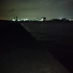 たまにアタリあるけど