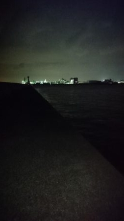 たまにアタリあるけど