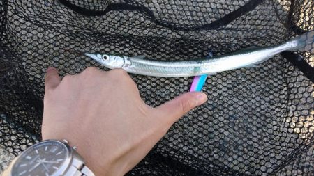 暴風スレ掛かり