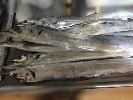 スローピッチアクションがどハマり‼︎‼︎