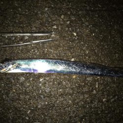 ラッキードラゴン